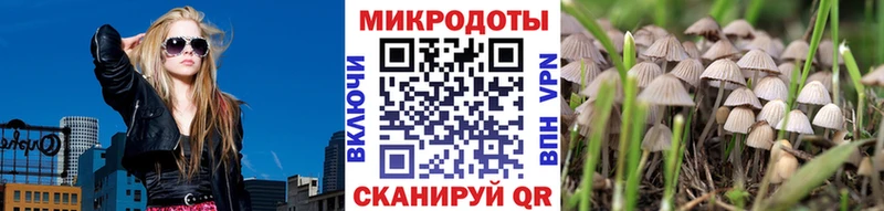 Псилоцибиновые грибы Psilocybine cubensis omg зеркало Лаишево